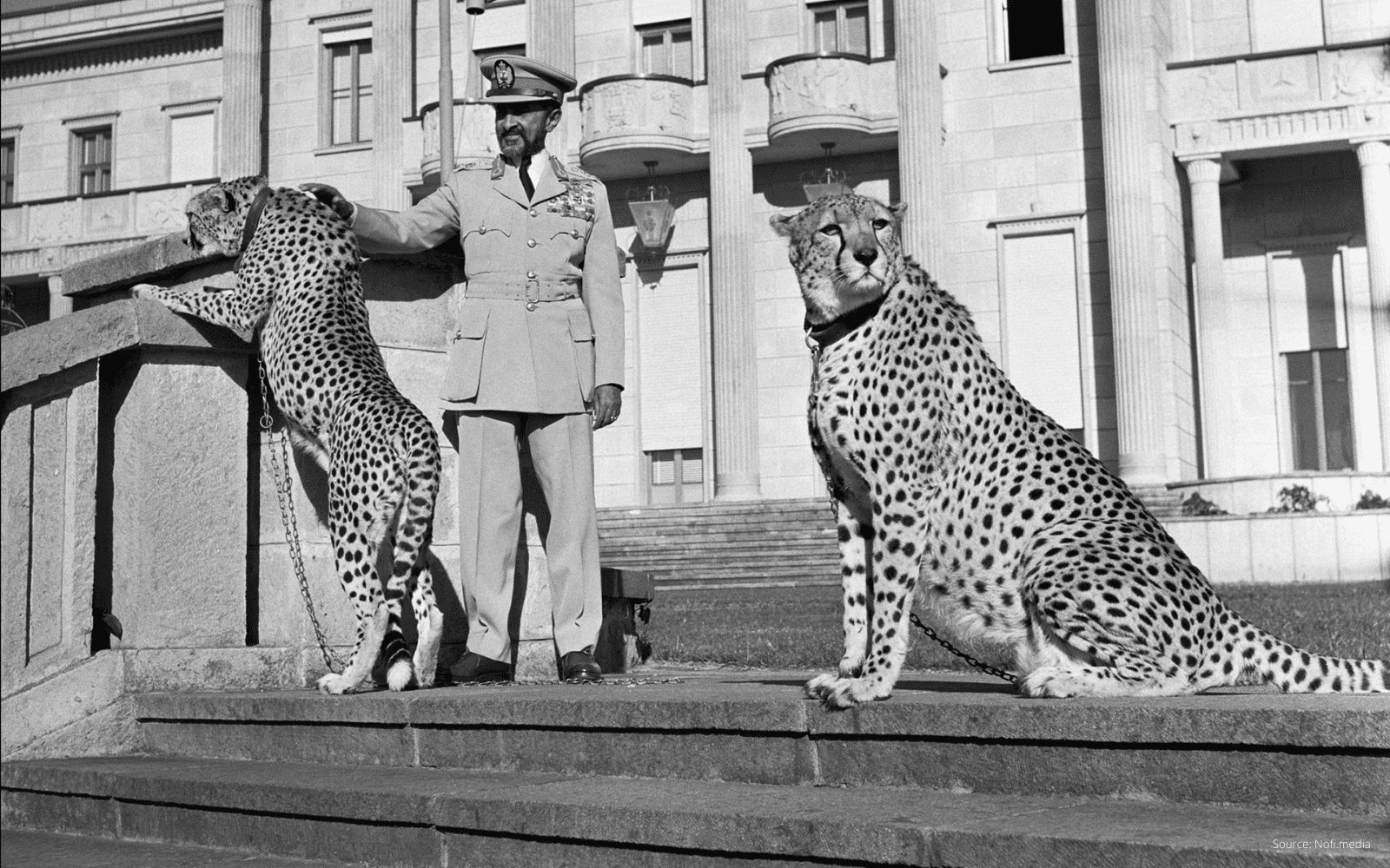 L'empereur Haile Selassie avec debout sur les marches de son palais accompagné de deux leopards