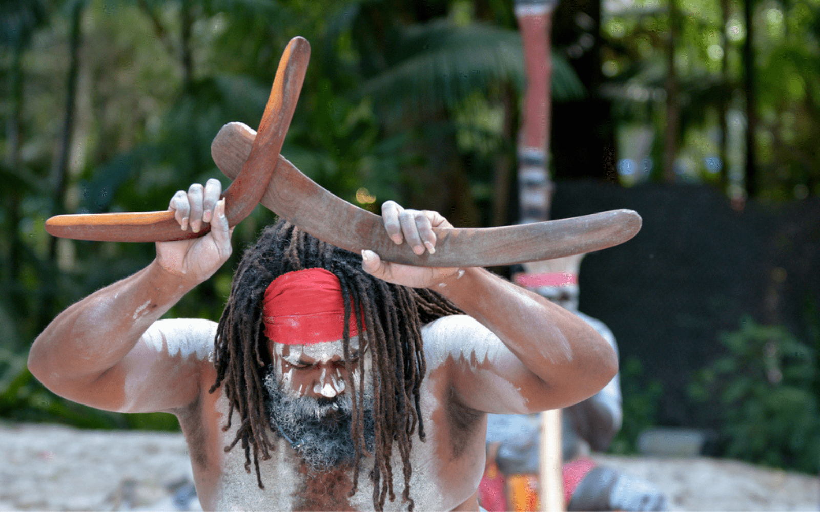 aborigène d'Australie avec dreadlocks et des boomerangs dans les main, en tenu traditionnelle pendant une ceremonie
